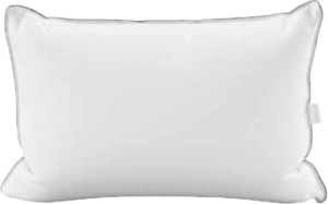 Read more about the article Feather & down pillows
